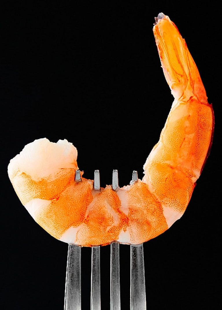 negative space in food photography example with shrimp on fork and empty background